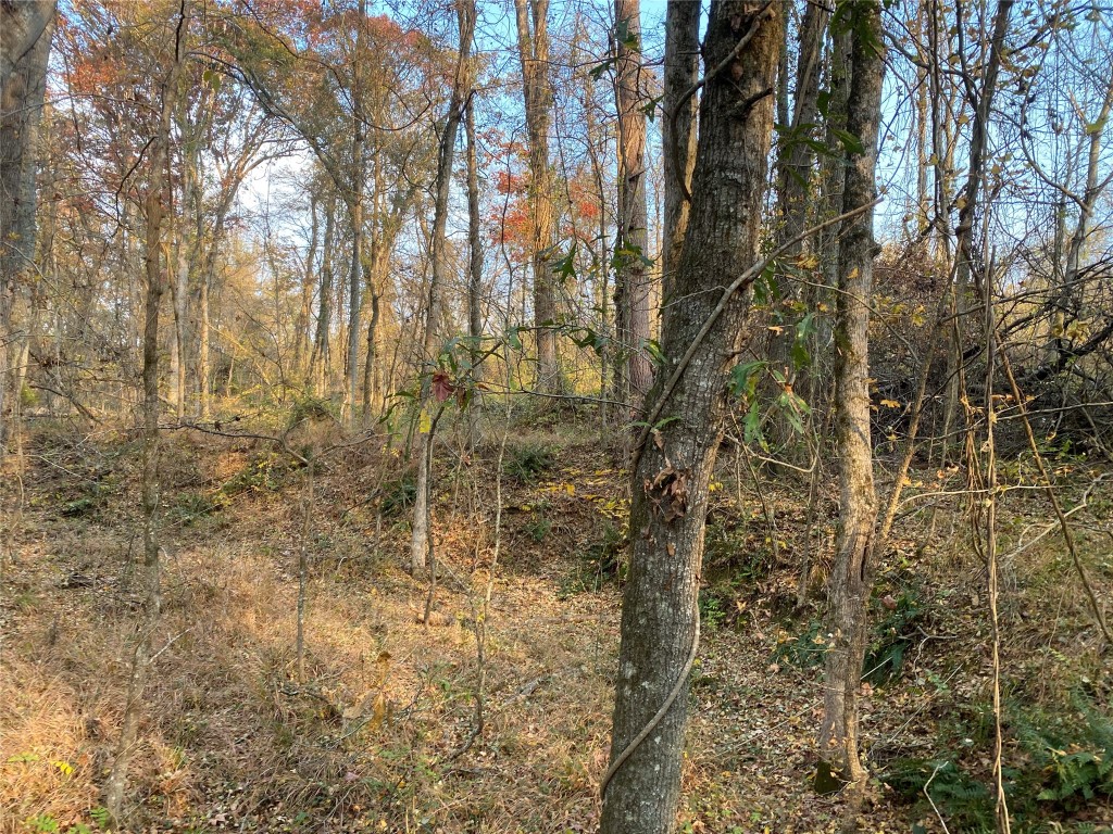 0 Danburg Road Property Photo 19