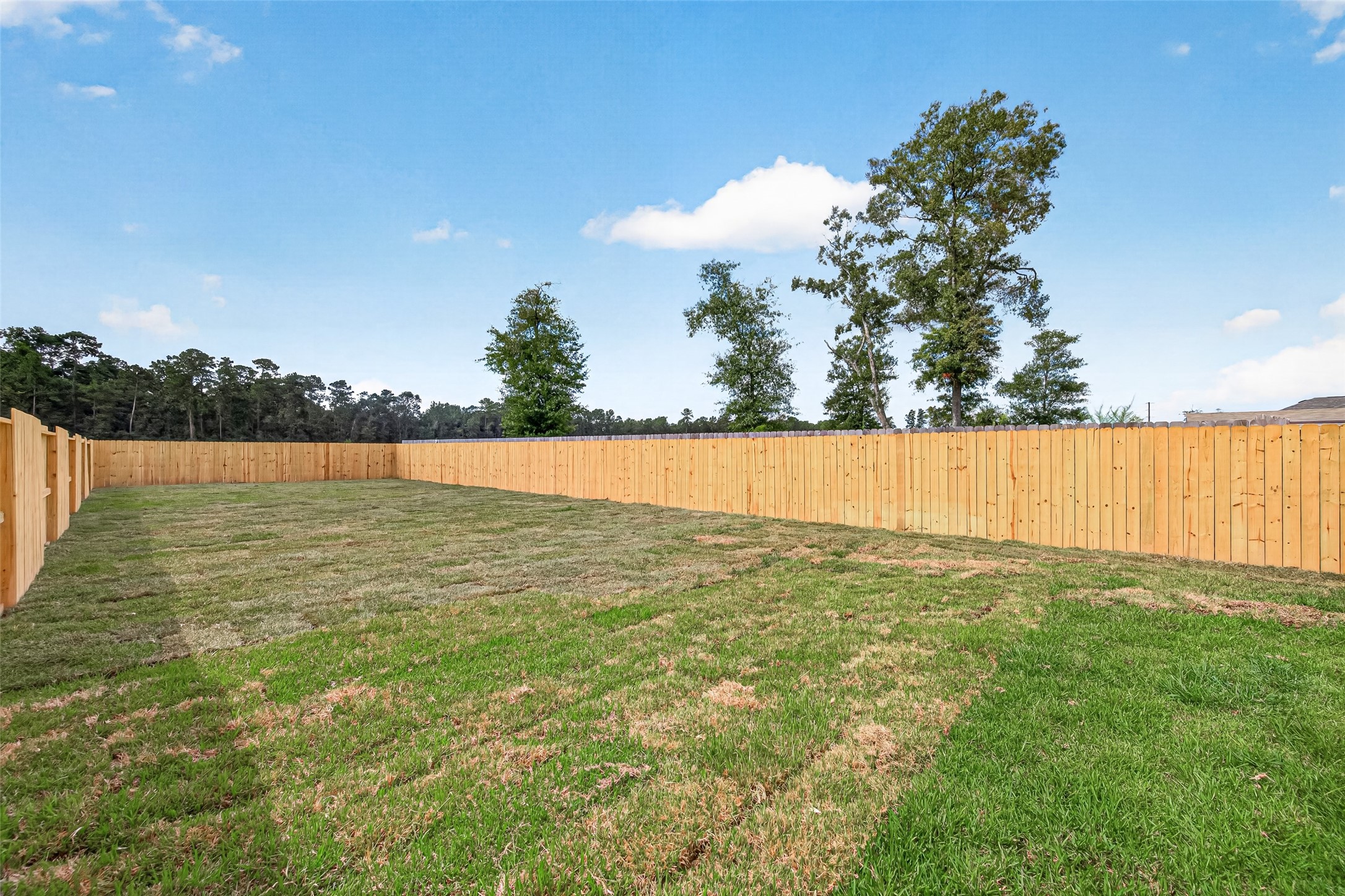 1234 Peter Pine St A/b Property Photo 20