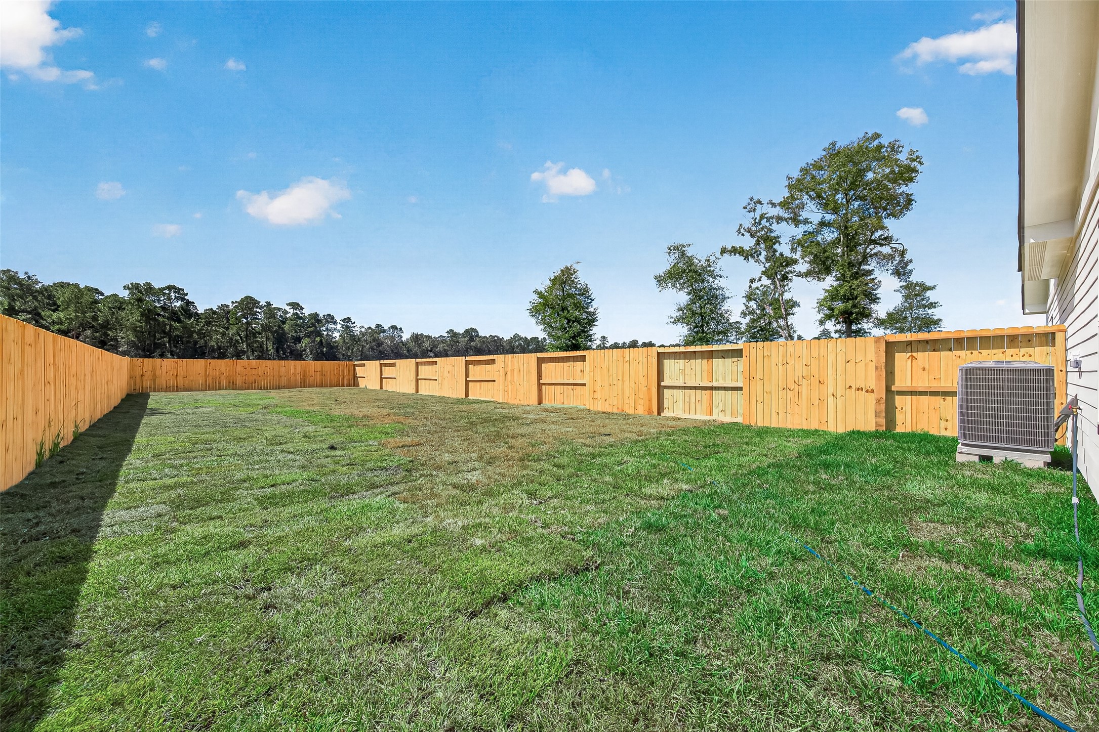 1234 Peter Pine St A/b Property Photo 32