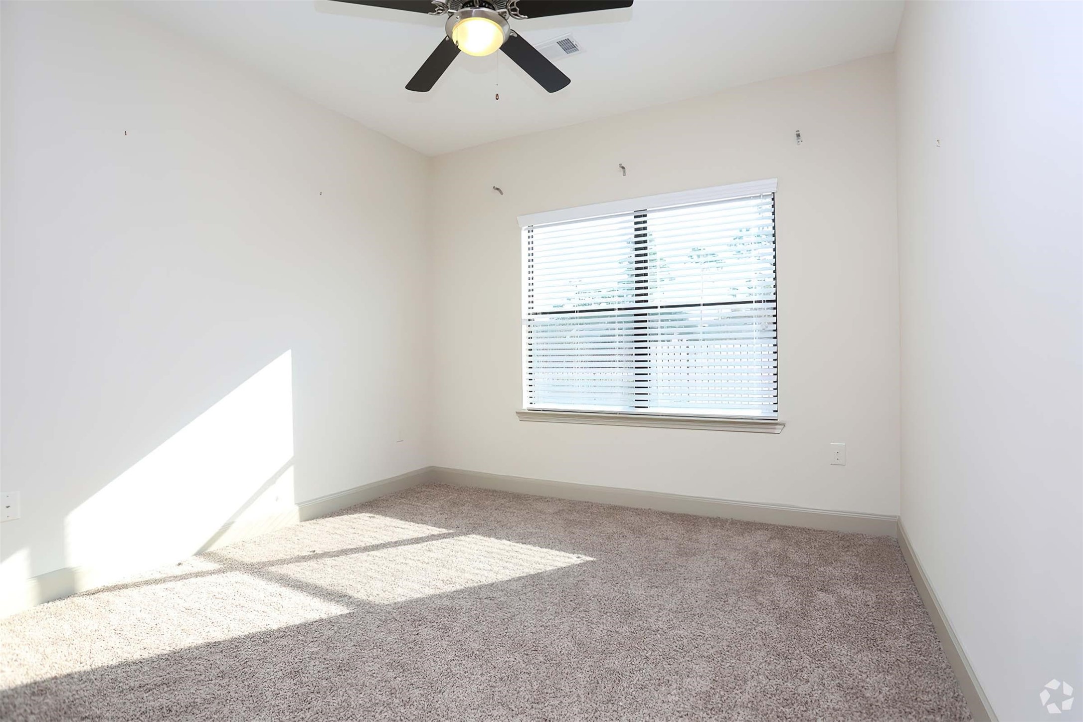 8520 Madie Dr 2205 Property Photo 21