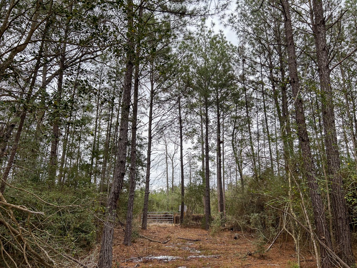 Tbd Cr 4520 Property Photo 6