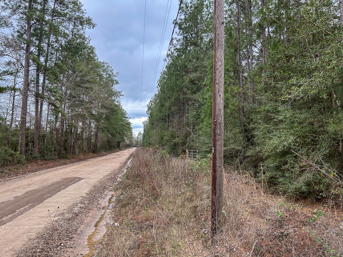 Tbd Cr 4520 Property Photo 7