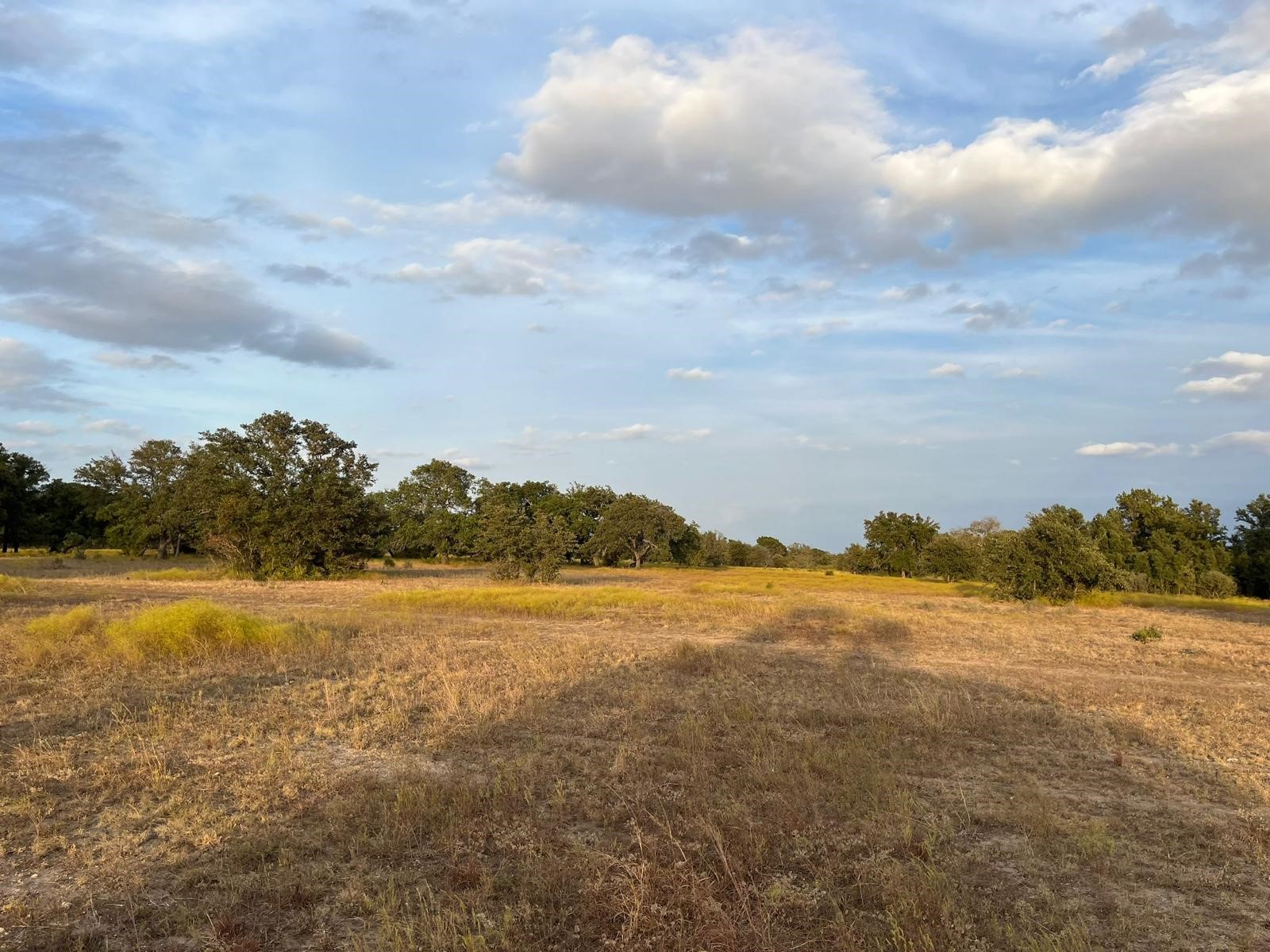 Tbd Lot 5 County Road 340 Road Property Photo