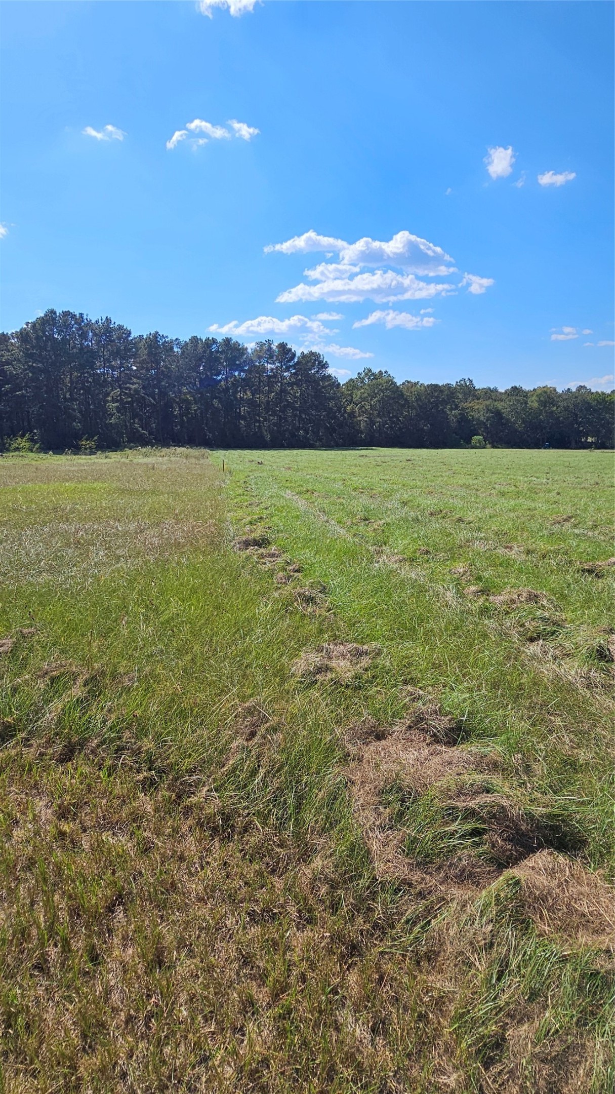 TBD Hawthorne Road N Property Photo 1