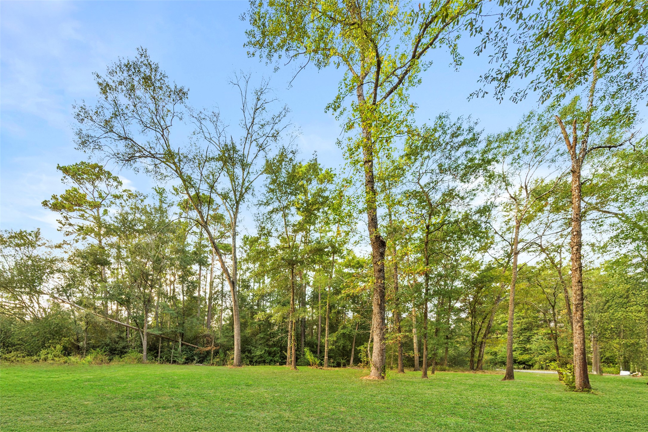 Tba Carisbrook Lane Property Photo 1