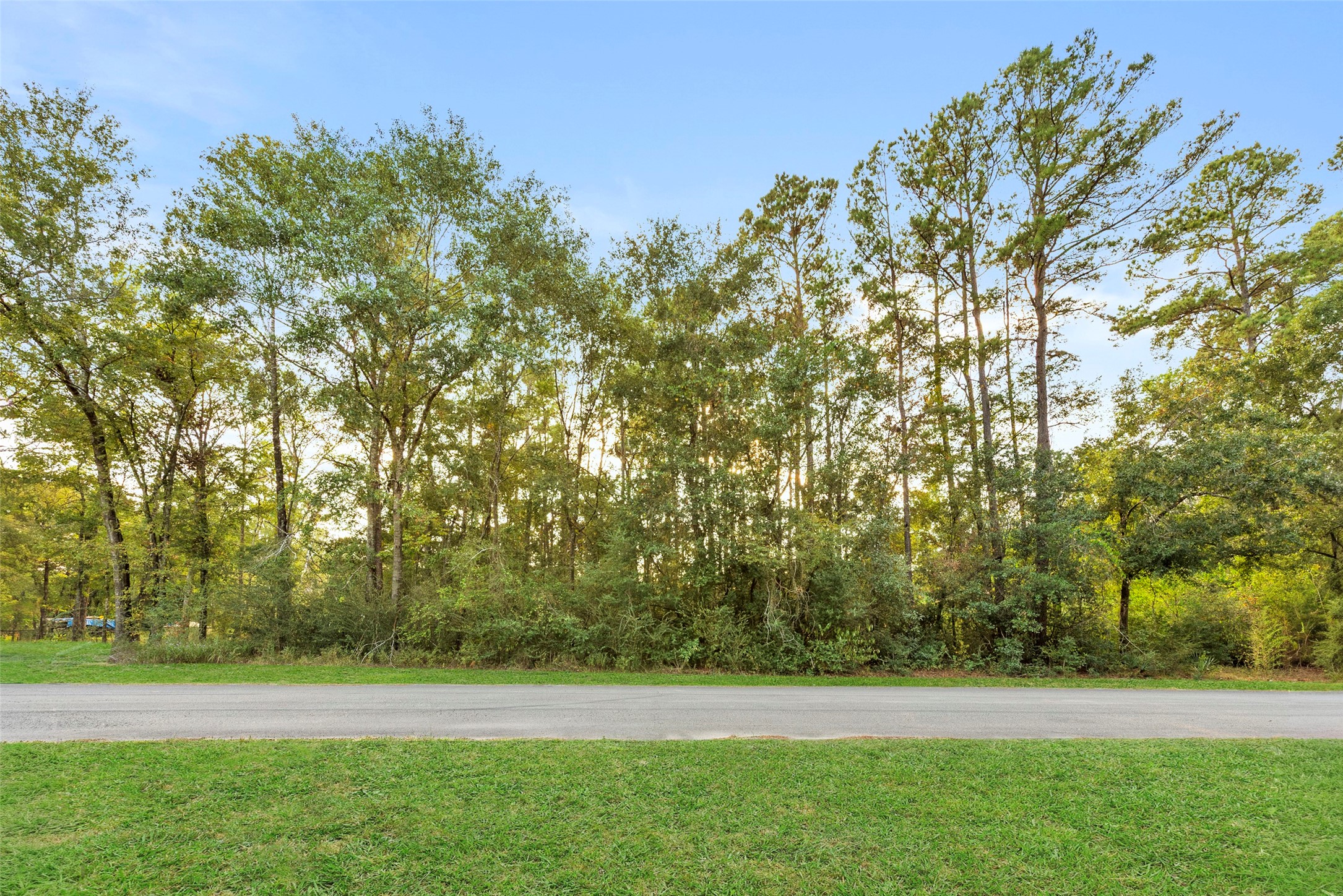 Tba Carisbrook Lane Property Photo 3