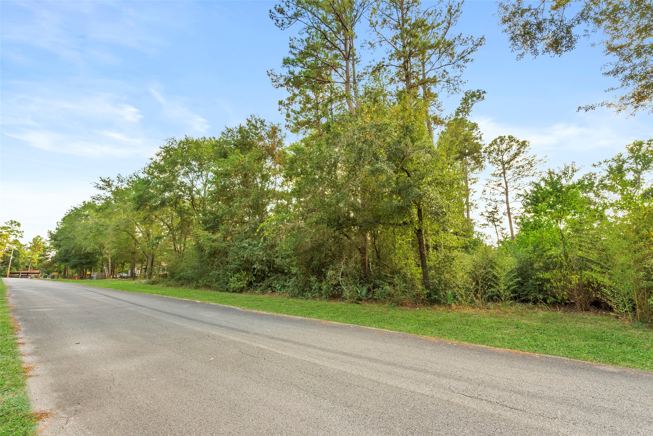 Tba Carisbrook Lane Property Photo 4