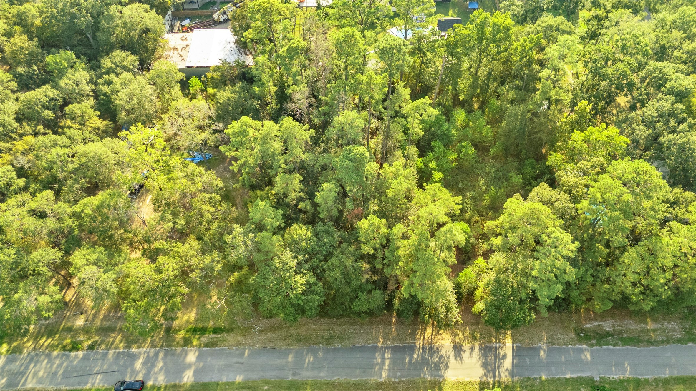 Tba Carisbrook Lane Property Photo 5