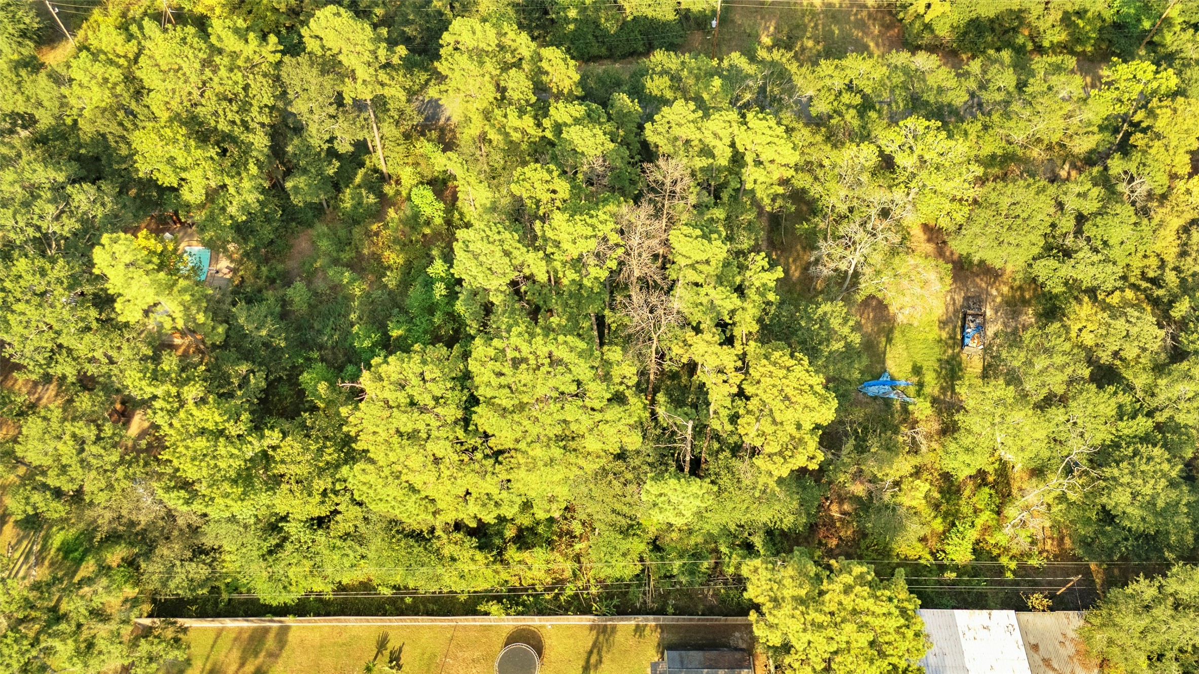 Tba Carisbrook Lane Property Photo 8