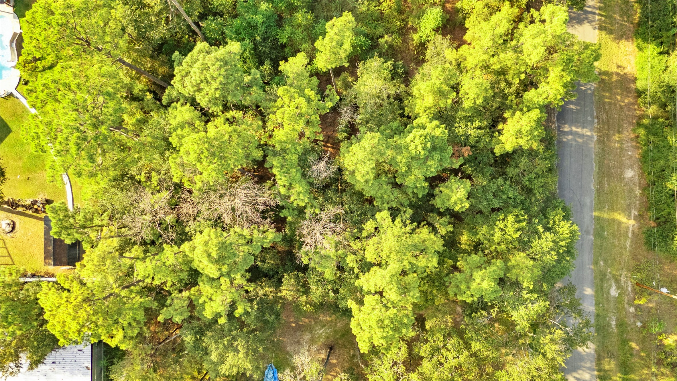 Tba Carisbrook Lane Property Photo 9