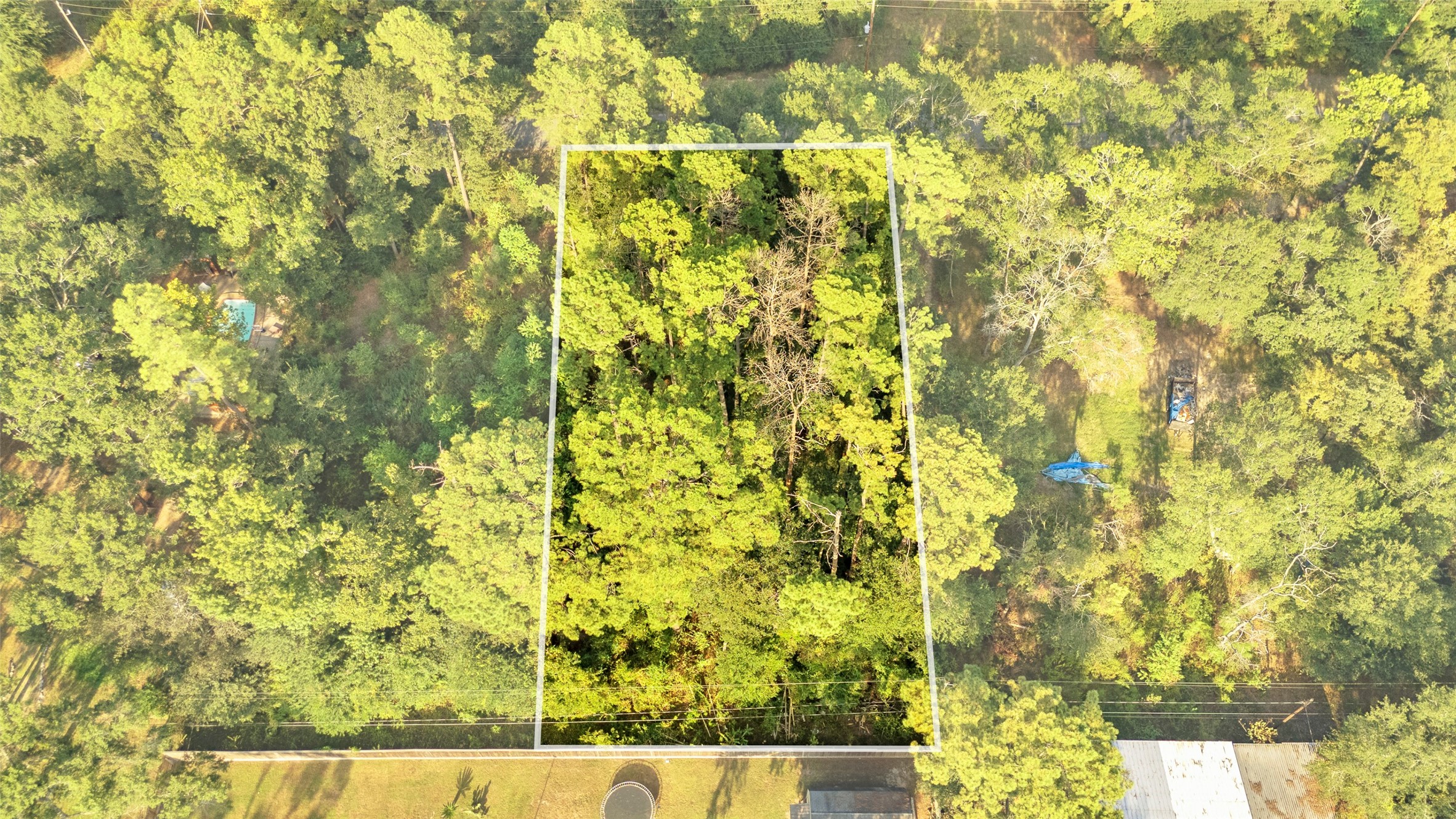 Tba Carisbrook Lane Property Photo 19