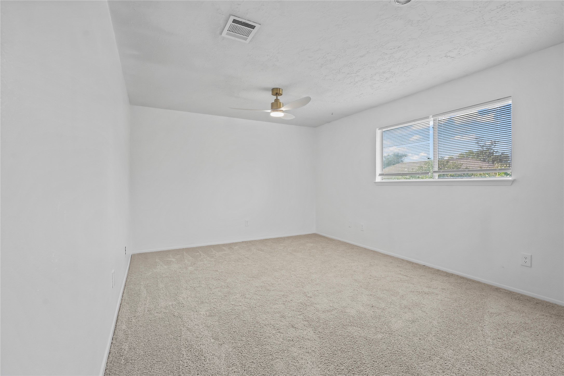 15506 Sungold Court Property Photo 10