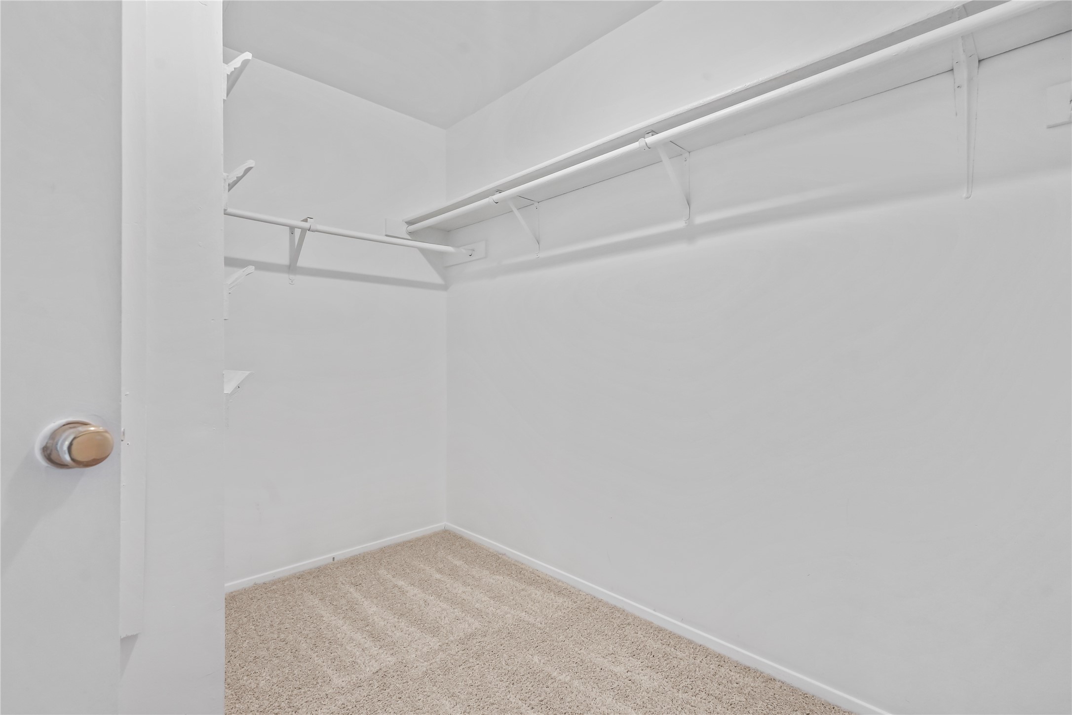 15506 Sungold Court Property Photo 16
