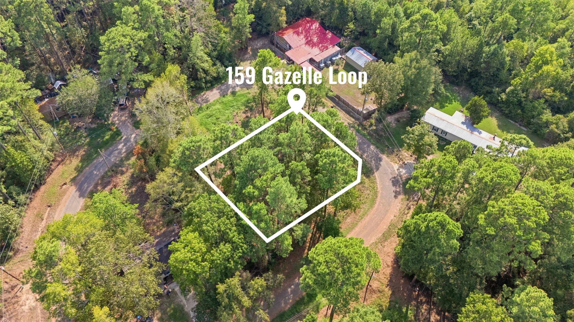 159 Gazelle Loop Property Photo 3
