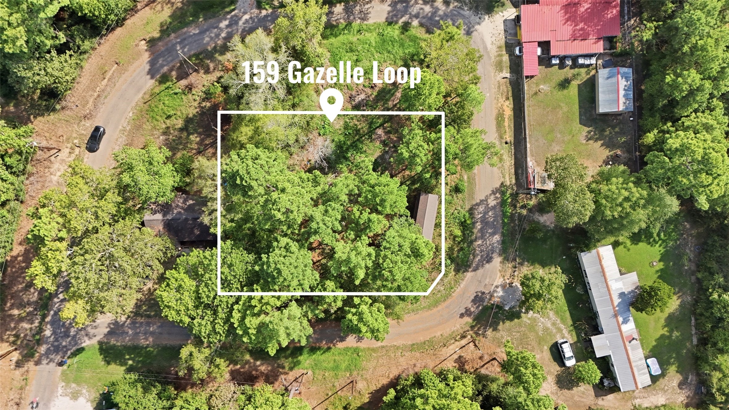 159 Gazelle Loop Property Photo 4