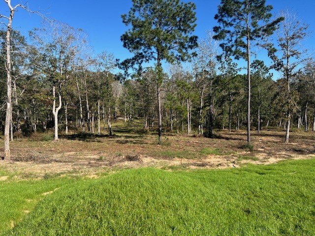 Tdb Lot 29 Addison Rd Property Photo 1