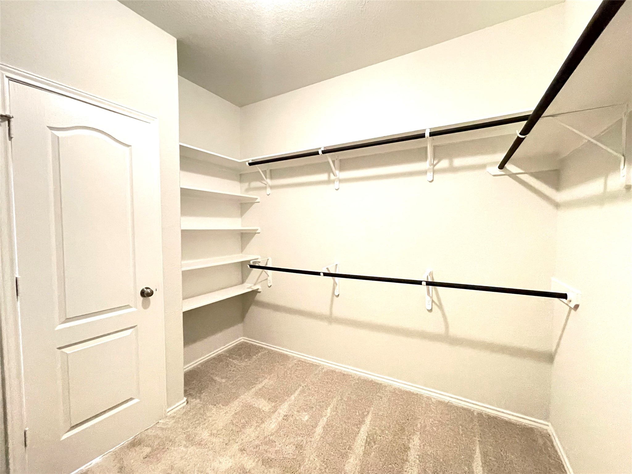 3211 Aster Meadow Way Property Photo 10