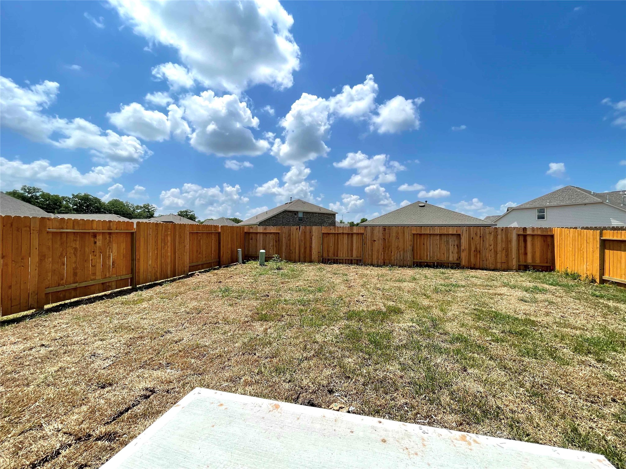3211 Aster Meadow Way Property Photo 19