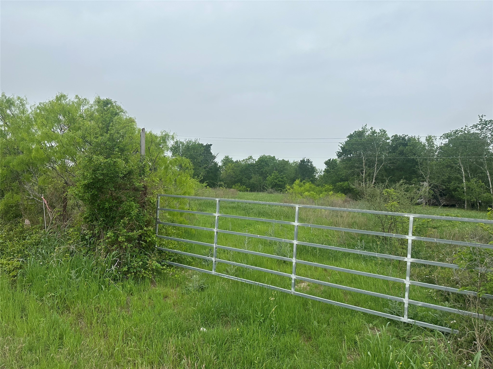 1561 County Road 428 Property Photo