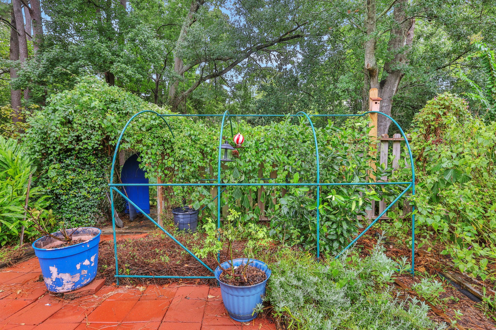 300 Timber Drive Property Photo 35