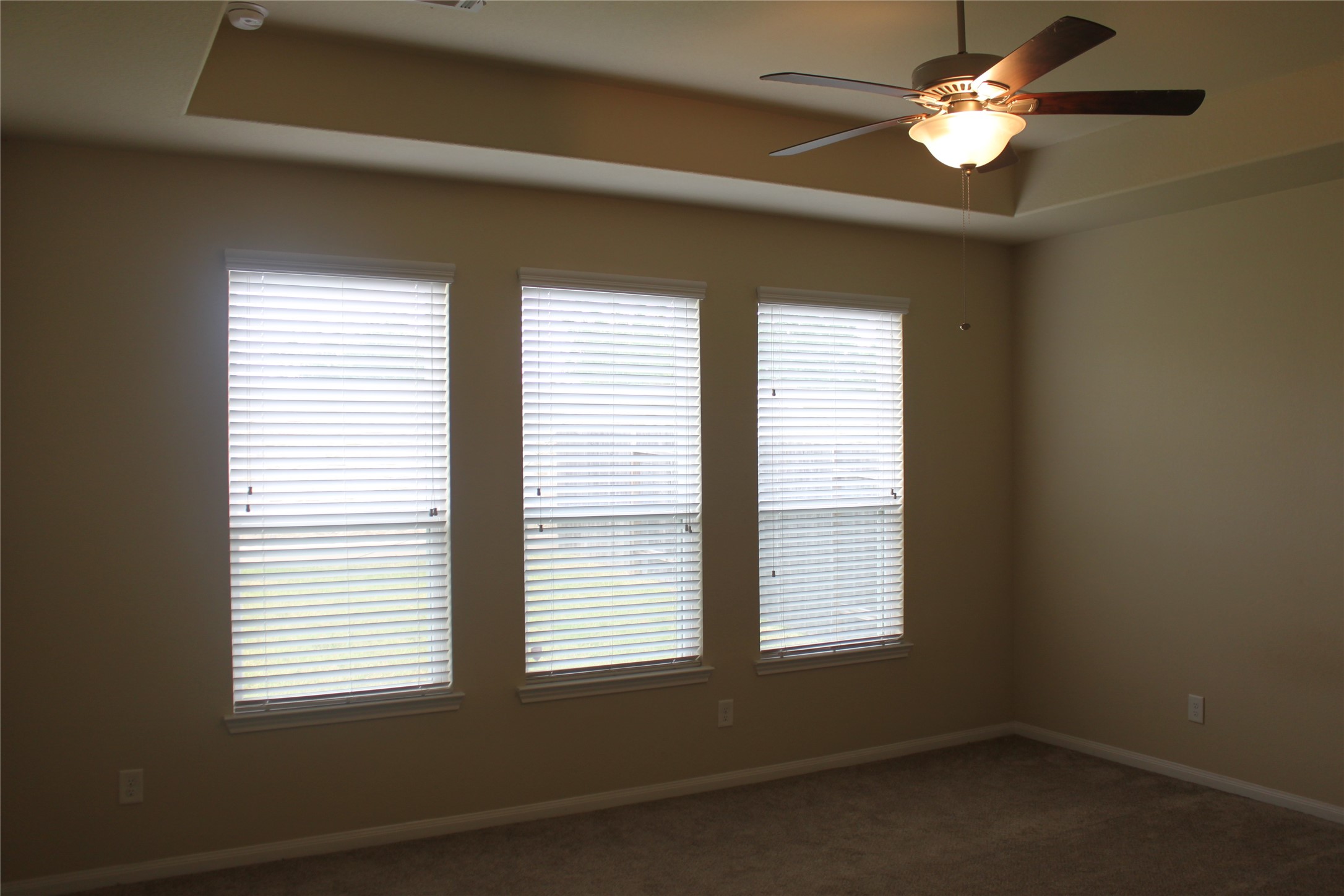 3715 Don Giovanni Place Property Photo 20