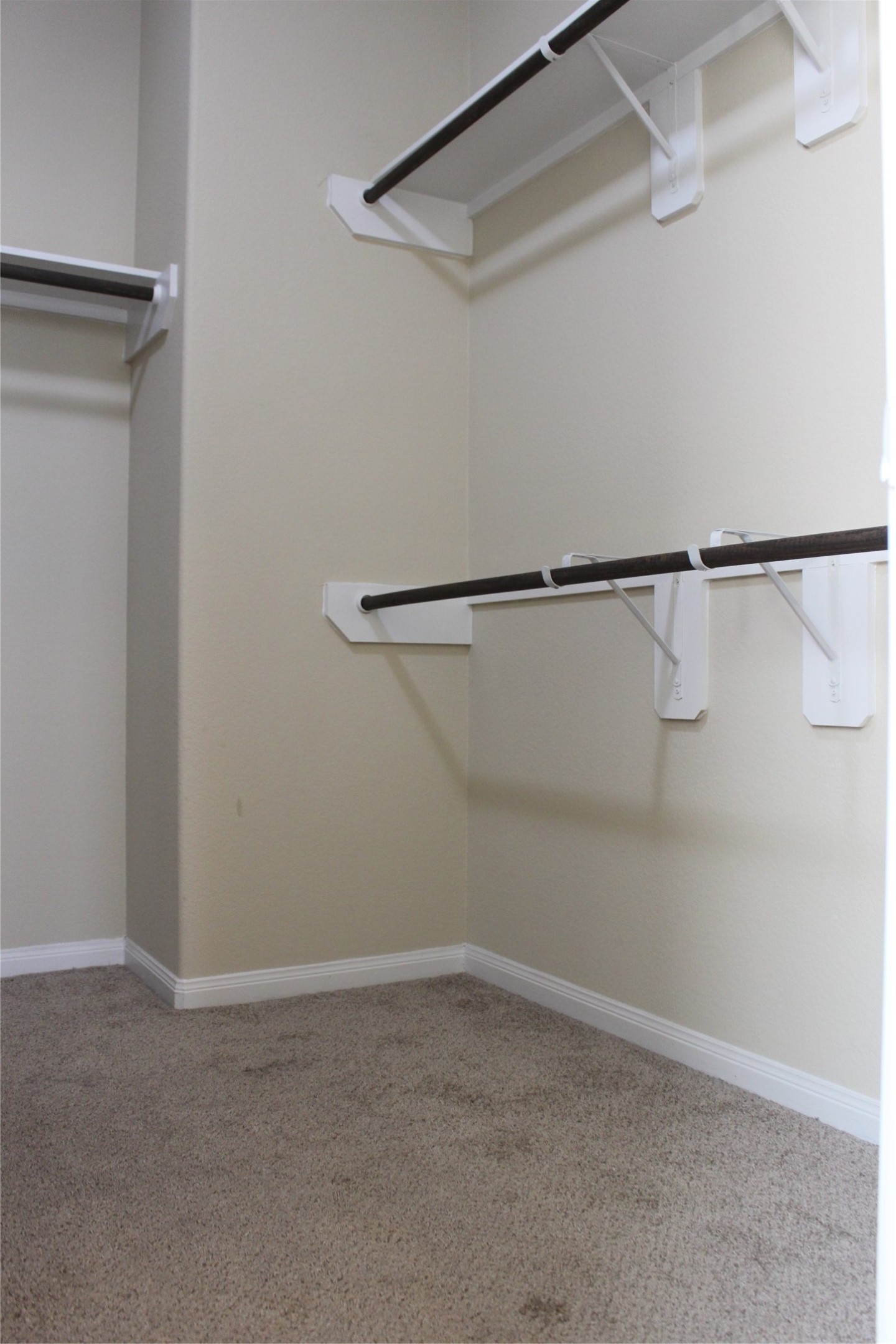 3715 Don Giovanni Place Property Photo 23