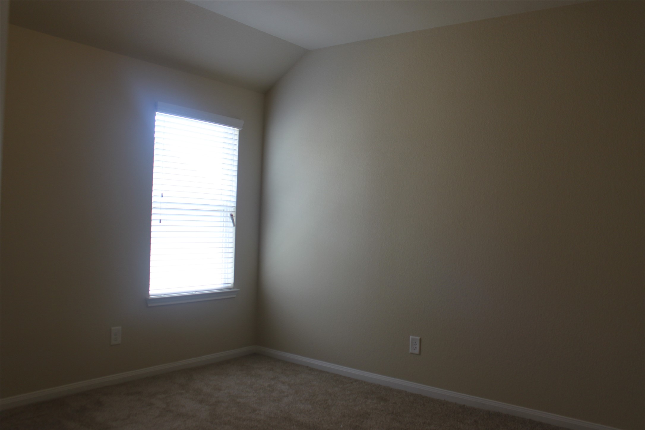 3715 Don Giovanni Place Property Photo 35