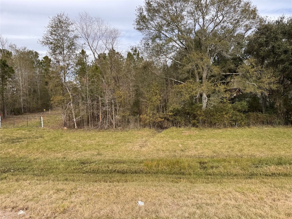 283 County Road 2247 Property Photo 3