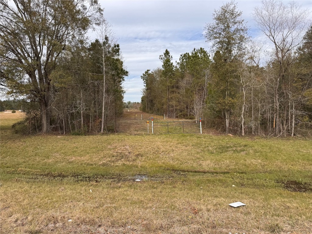 283 County Road 2247 Property Photo 4