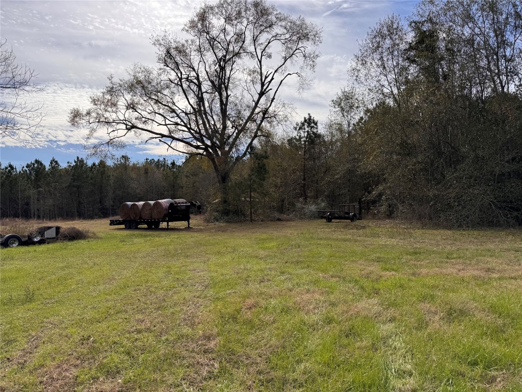 283 County Road 2247 Property Photo 9