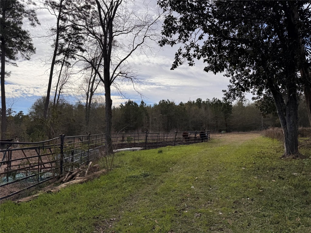 283 County Road 2247 Property Photo 10