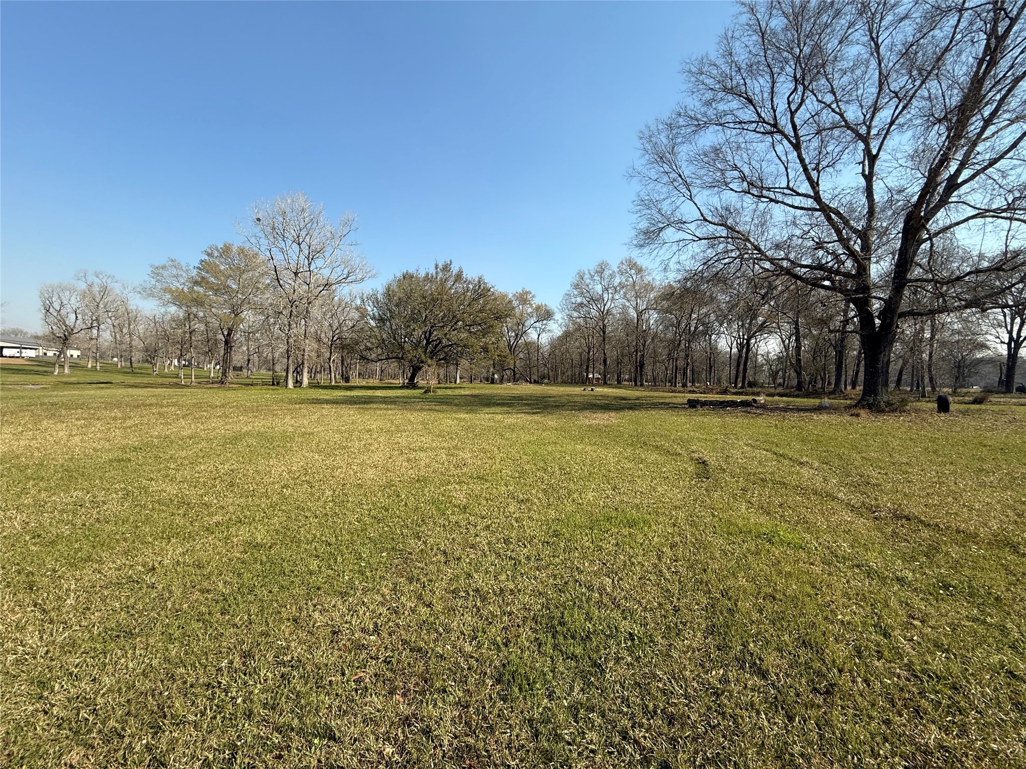 Tbd County Road 2094 11a Property Photo