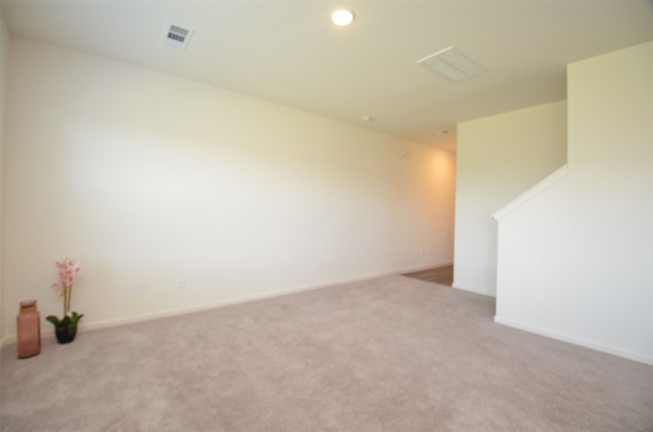 8627 Vacek Crossing Way Property Photo 6