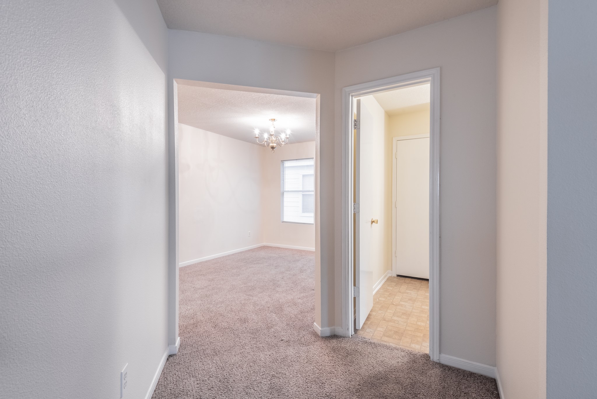 5007 Oak Stand Court Property Photo 7