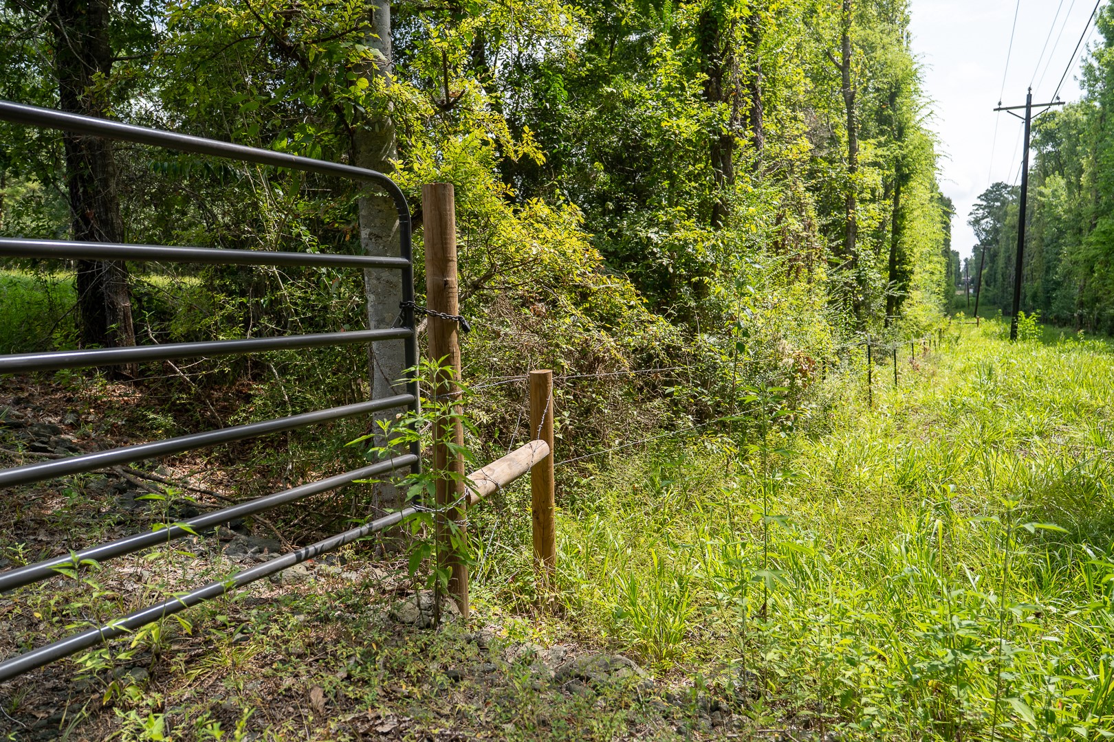 000 Us Hwy 190 Property Photo 12