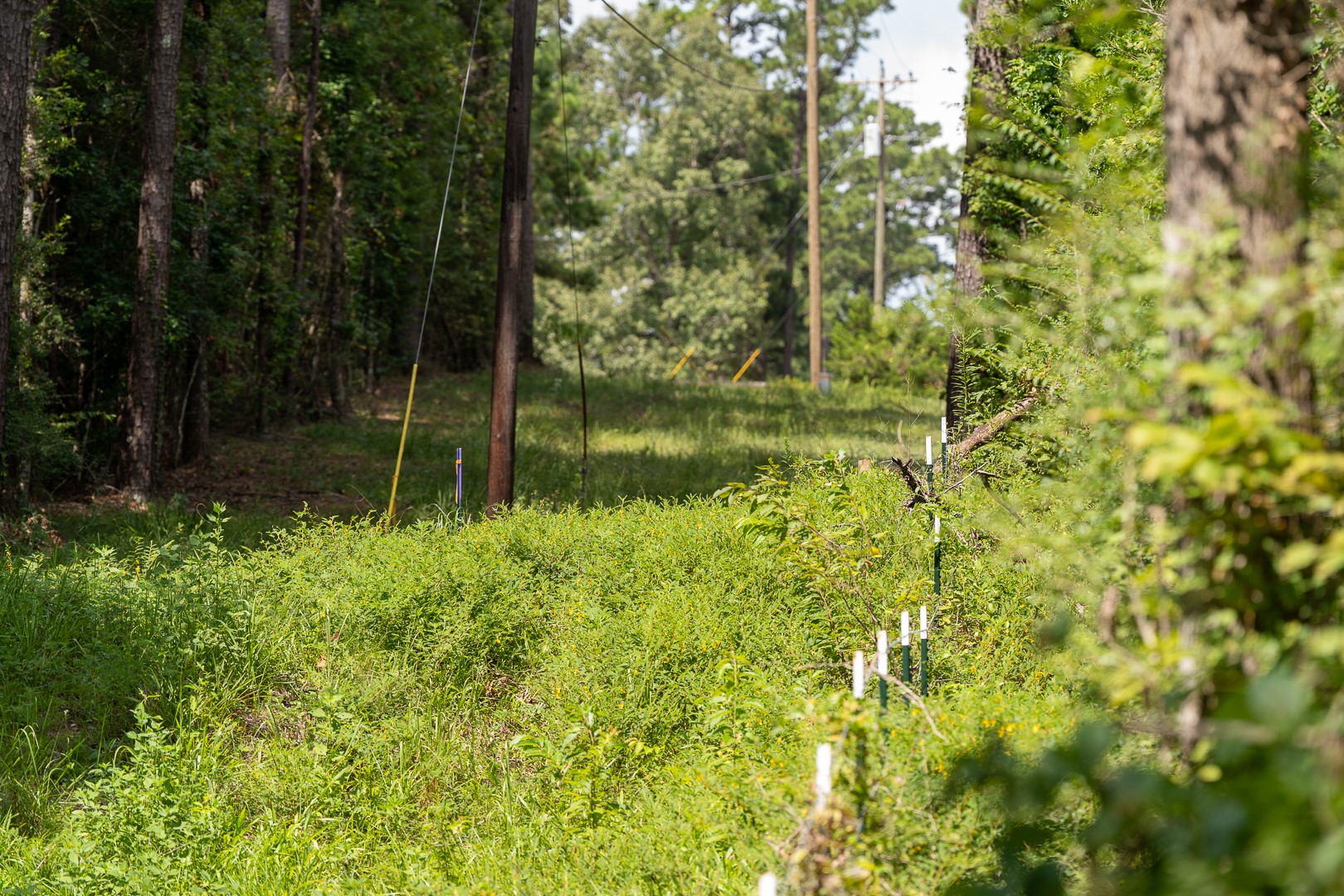 000 Us Hwy 190 Property Photo 14