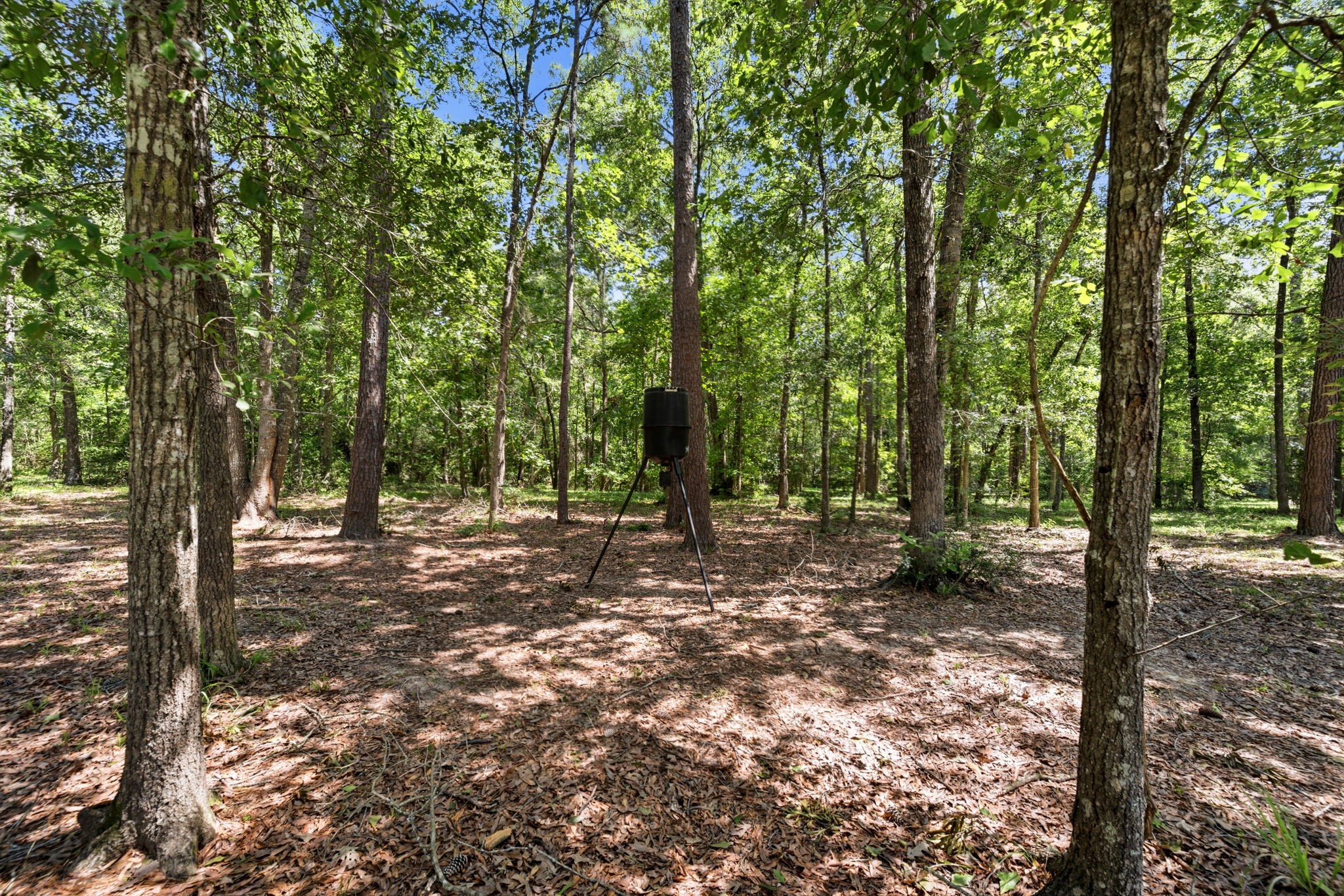 209 County Road 6324 Property Photo 38