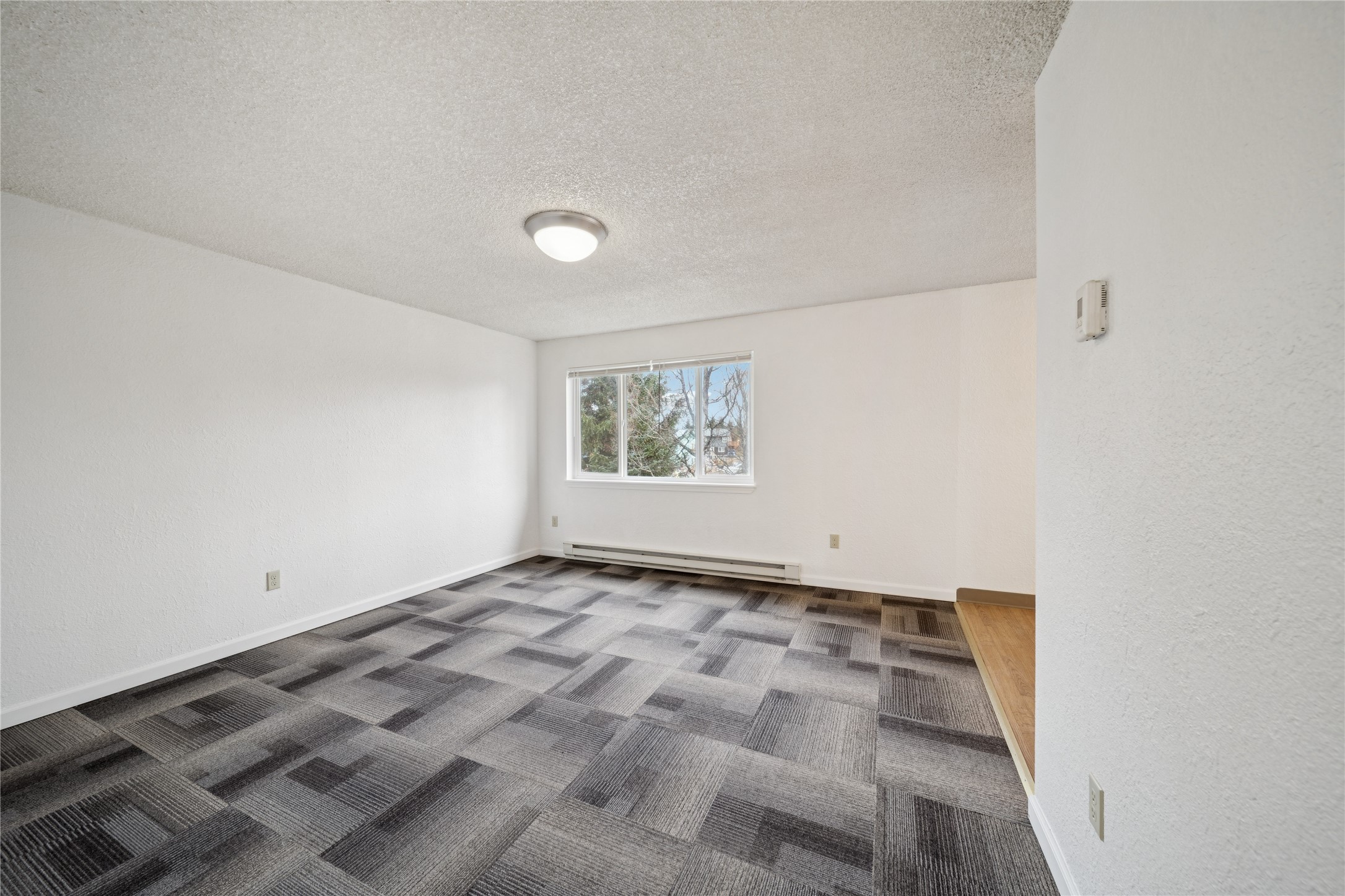 4014 Ben Walters Ln Property Photo 37