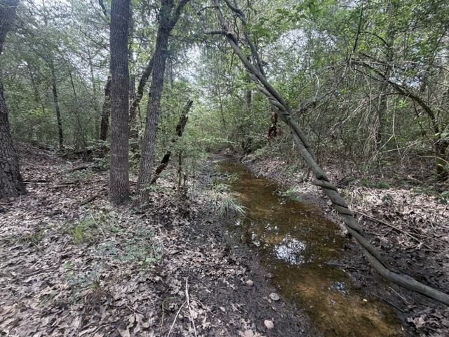 2203 Dead End Lane Property Photo 42