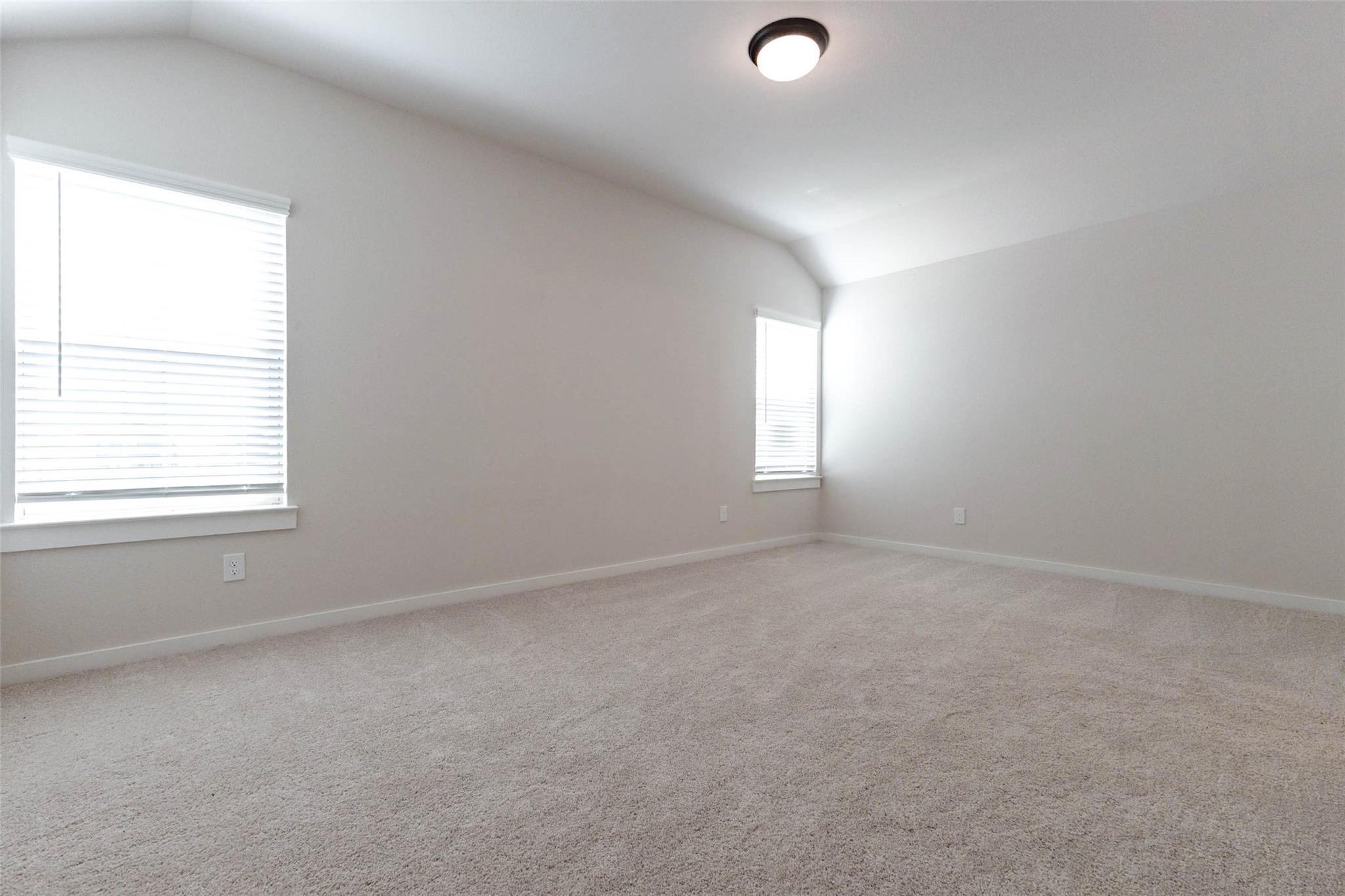 1007 Santee Ct Court, Rosharon Tx 77583 Property Photo 23