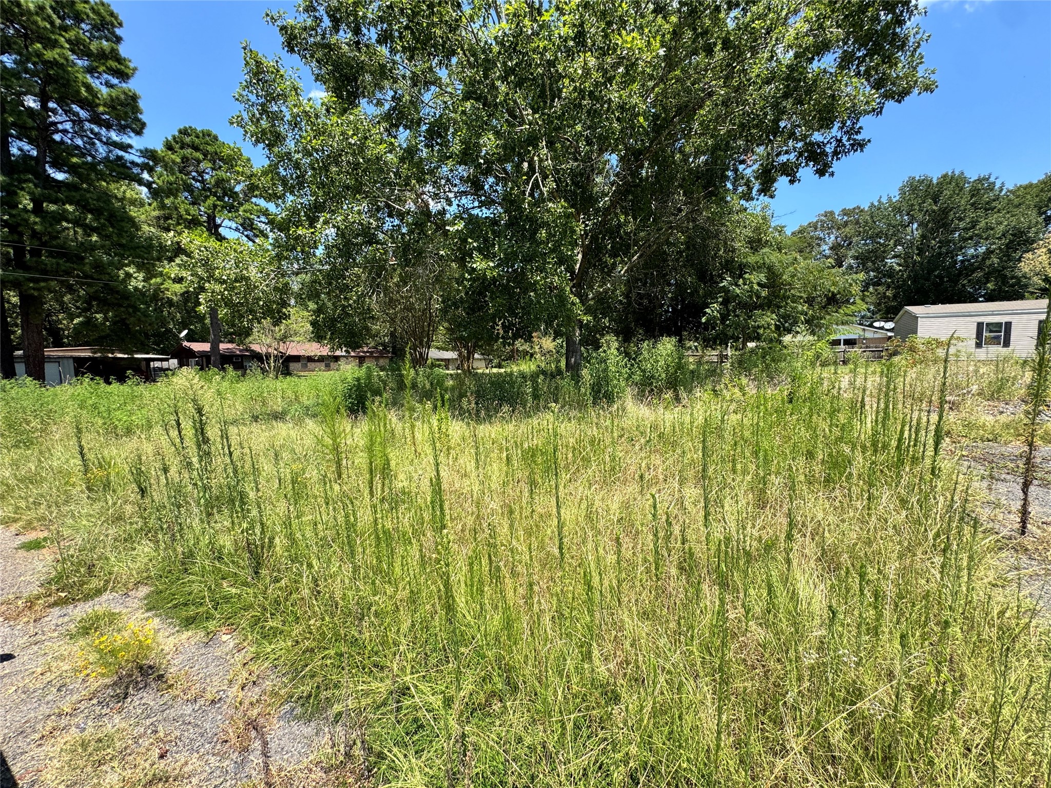 320 County Road 2031 Property Photo 7