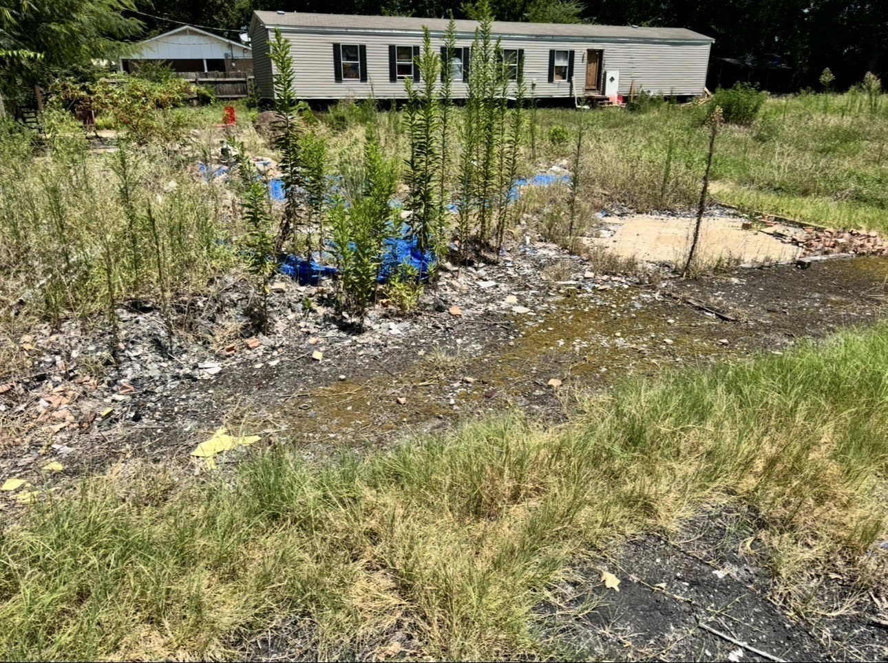 320 County Road 2031 Property Photo 15