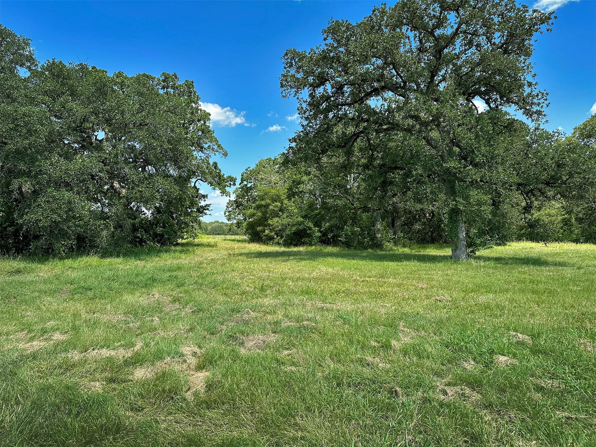 - Sun Oil Road Property Photo 7