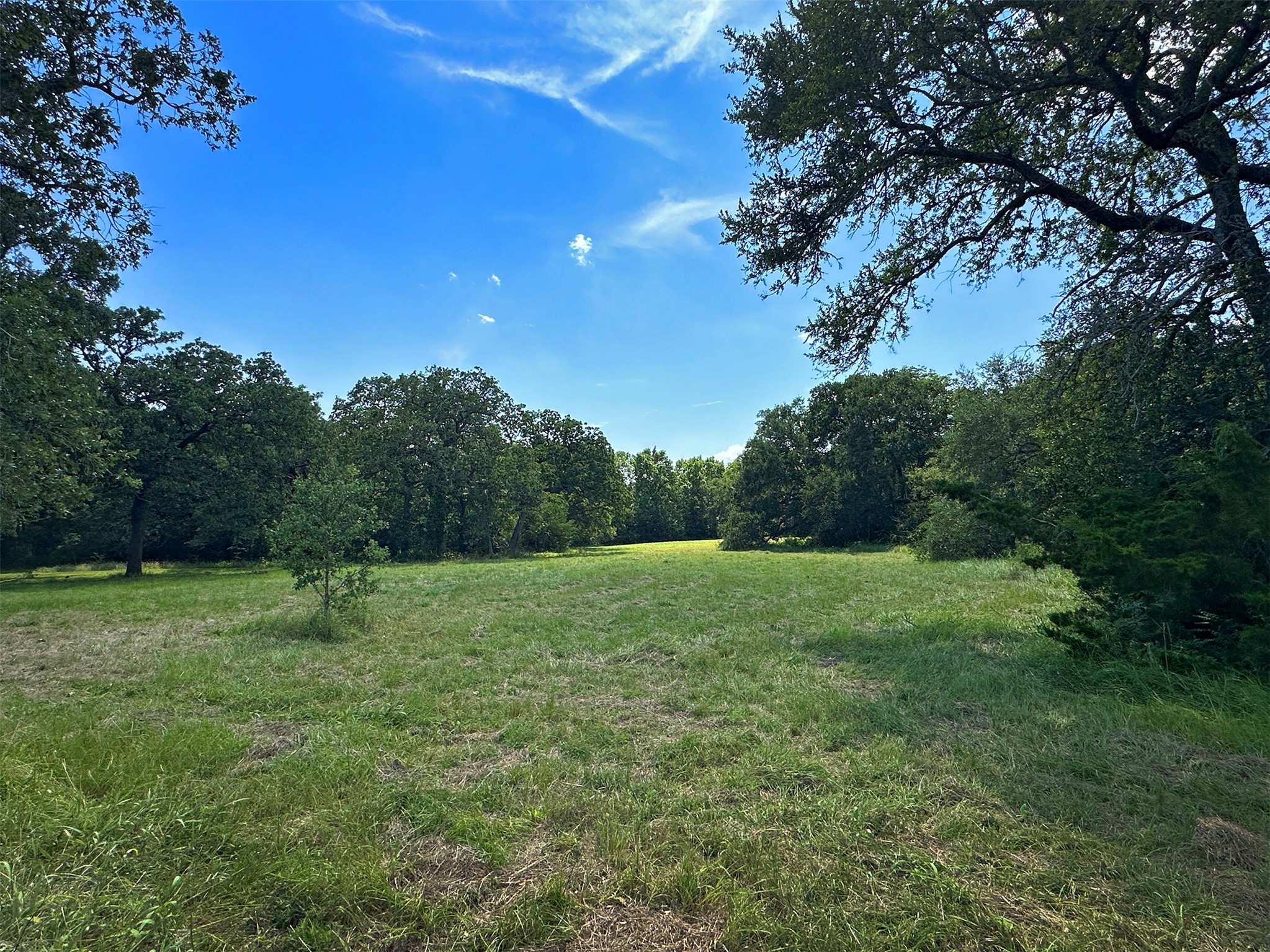 - Sun Oil Road Property Photo 8