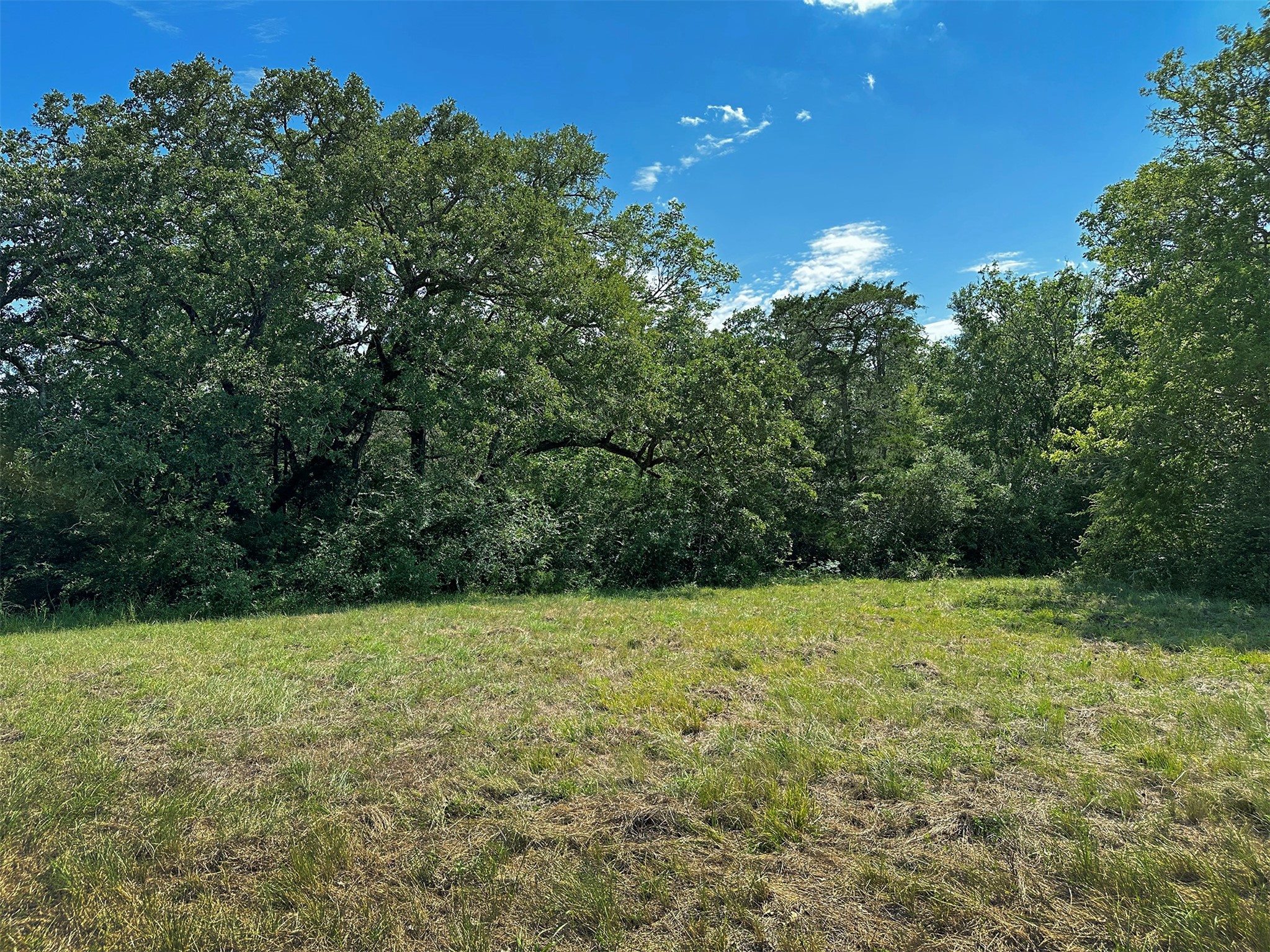 - Sun Oil Road Property Photo 9