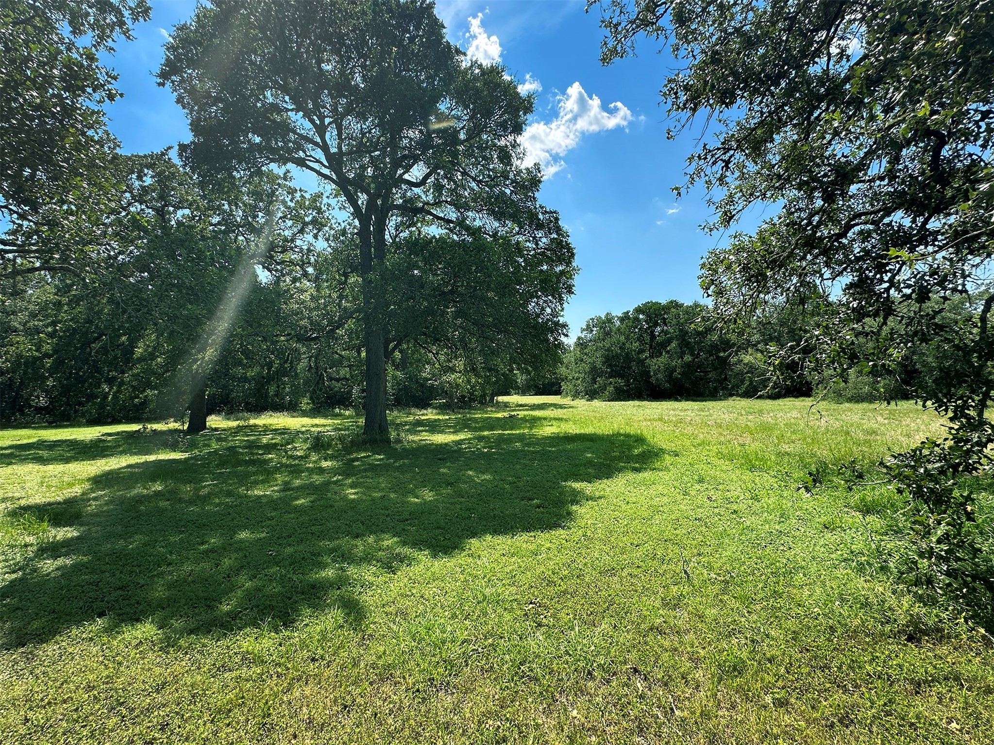 - Sun Oil Road Property Photo 11
