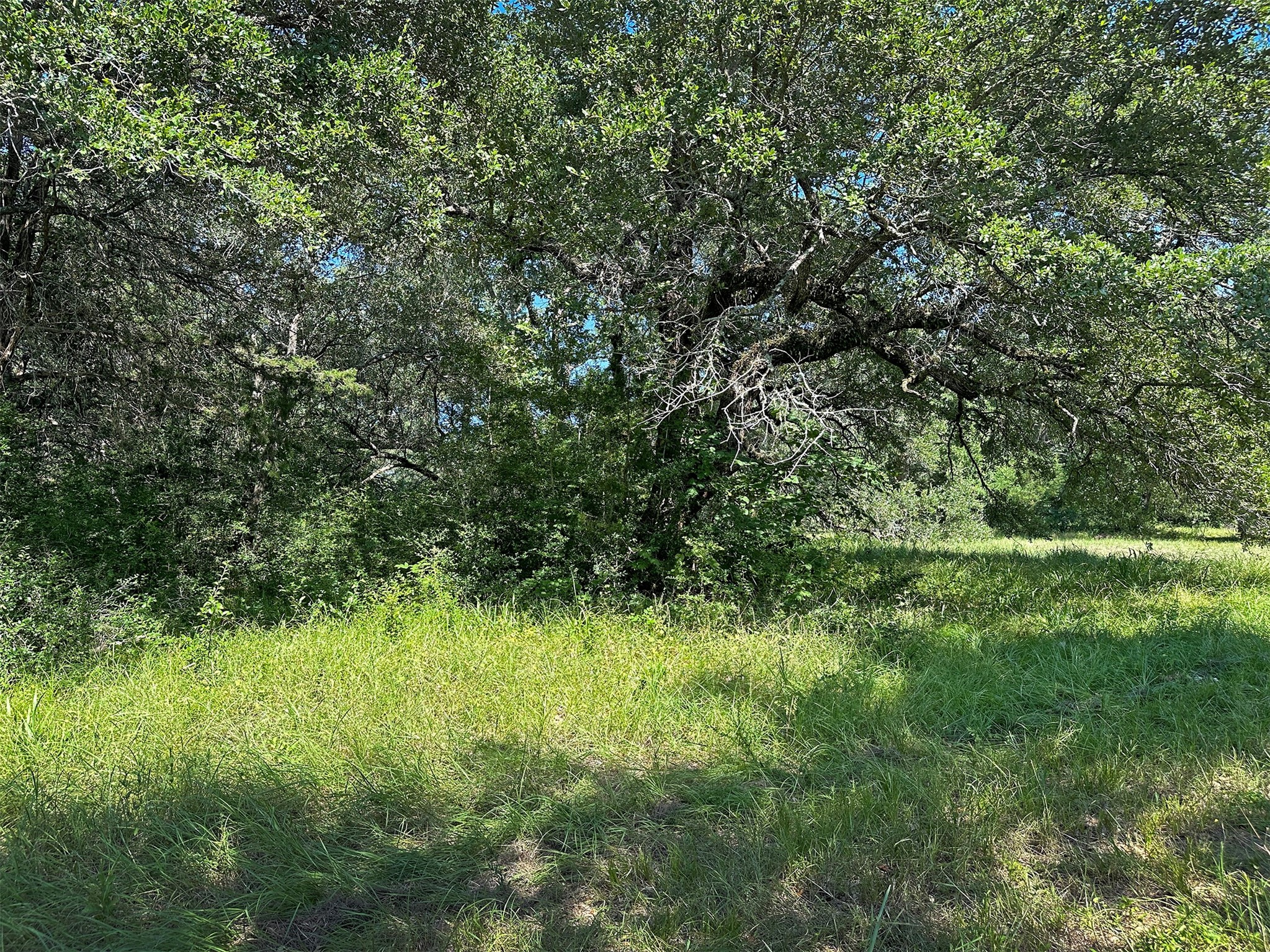 - Sun Oil Road Property Photo 13