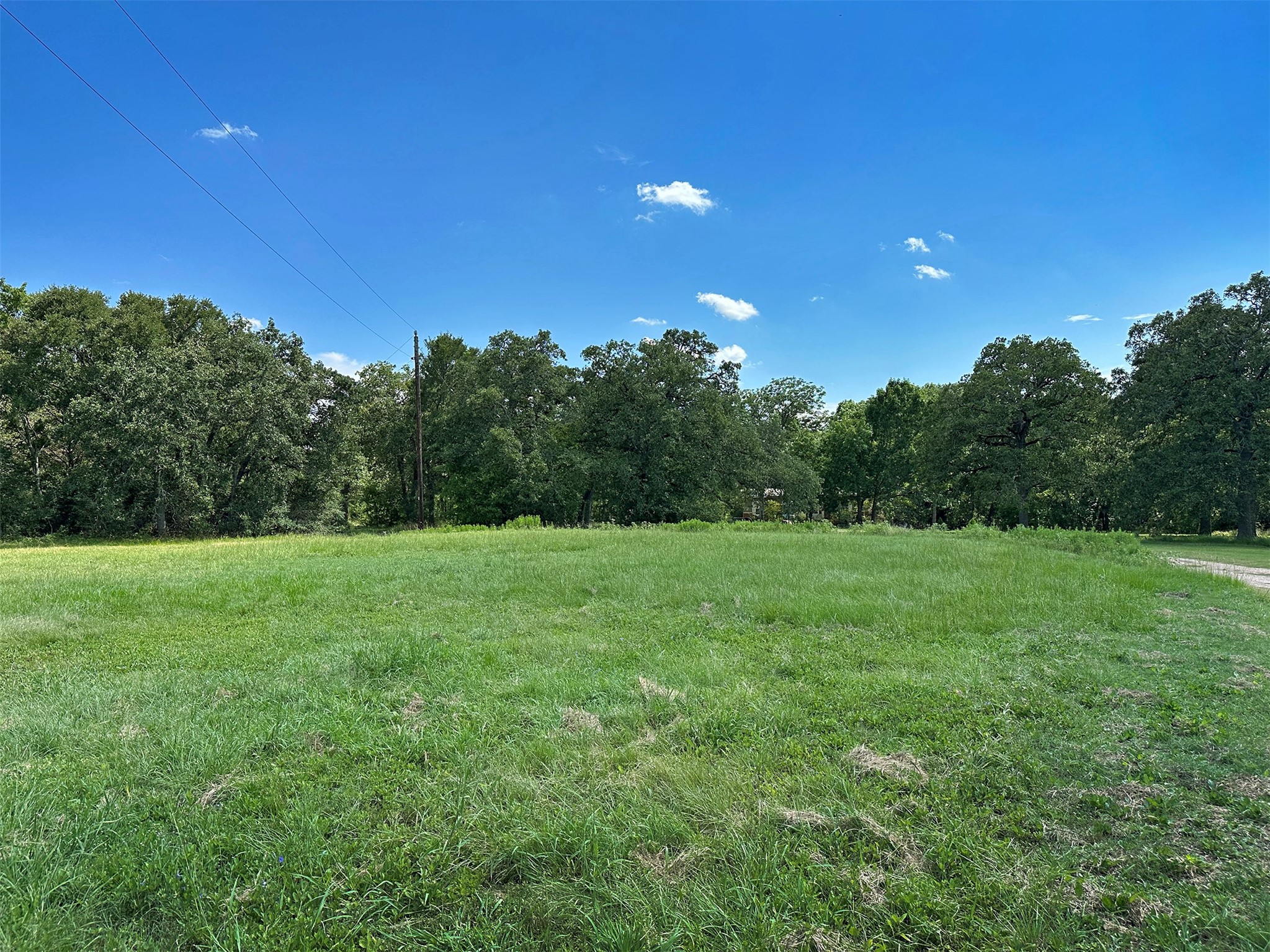 - Sun Oil Road Property Photo 14