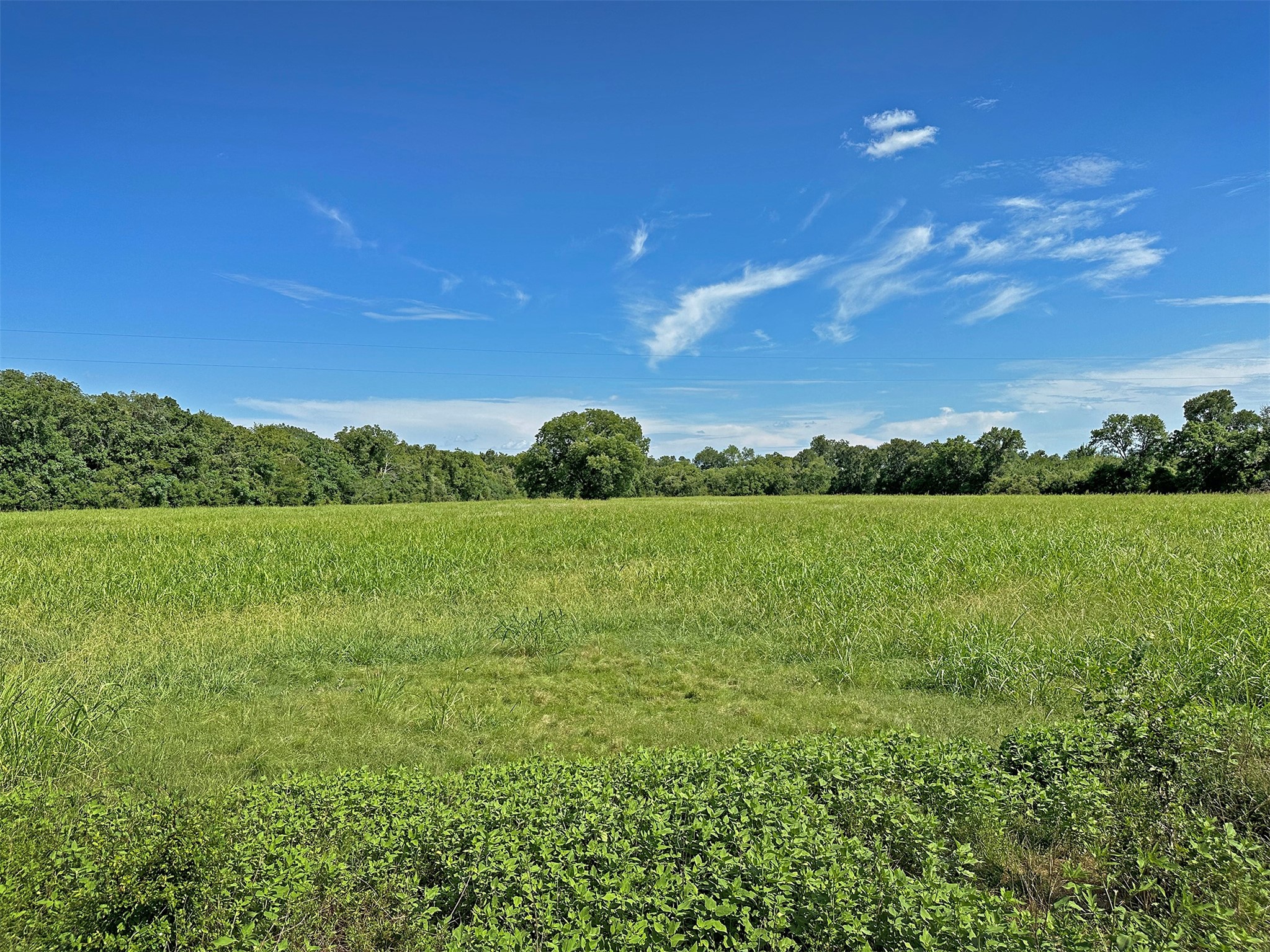 - Sun Oil Road Property Photo 21