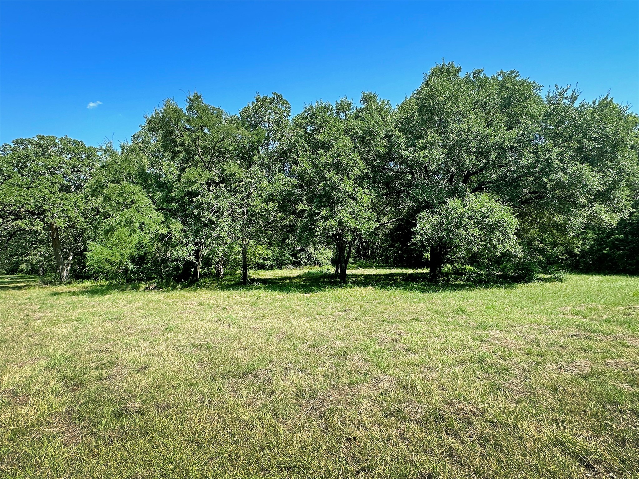 - Sun Oil Road Property Photo 23